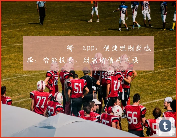 鏋侀€熺數绔瀉app，便捷理财新选择，智能投资，财富增值两不误