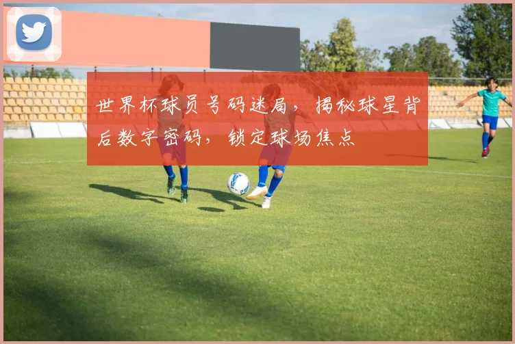 世界杯球员号码迷局，揭秘球星背后数字密码，锁定球场焦点