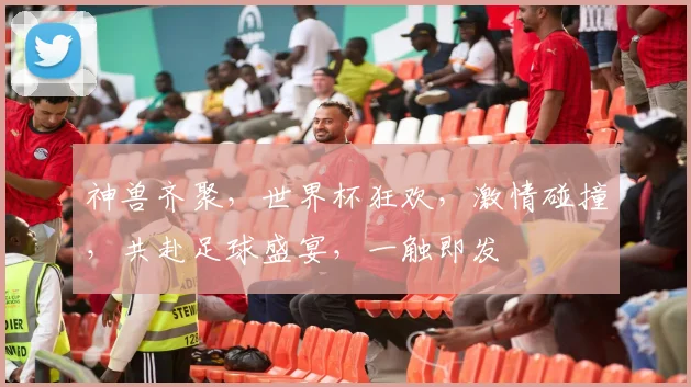 神兽齐聚，世界杯狂欢，激情碰撞，共赴足球盛宴，一触即发
