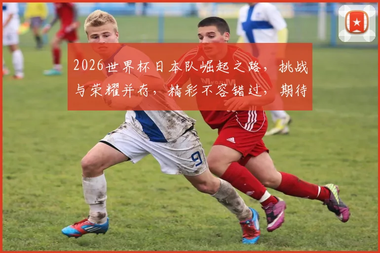 2026世界杯日本队崛起之路，挑战与荣耀并存，精彩不容错过，期待瞩目