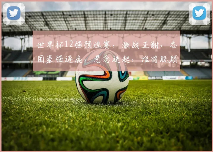 世界杯12强预选赛，激战正酣，各国豪强逐鹿，悬念迭起，谁将脱颖而出