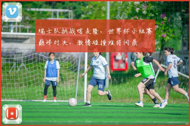 瑞士队挑战喀麦隆，世界杯小组赛巅峰对决，激情碰撞谁将问鼎