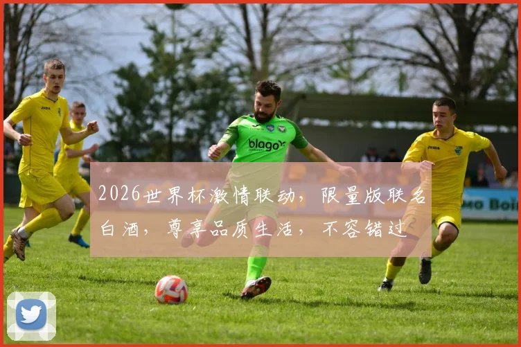 2026世界杯激情联动，限量版联名白酒，尊享品质生活，不容错过